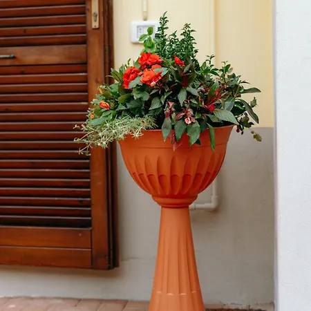 Le Risaie * Asigliano Vercellese