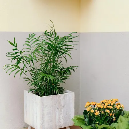 Bed and Breakfast Le Risaie Asigliano Vercellese