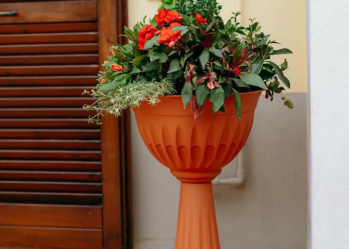 Le Risaie * Asigliano Vercellese