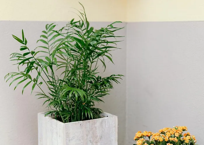 Couette-café Le Risaie Asigliano Vercellese